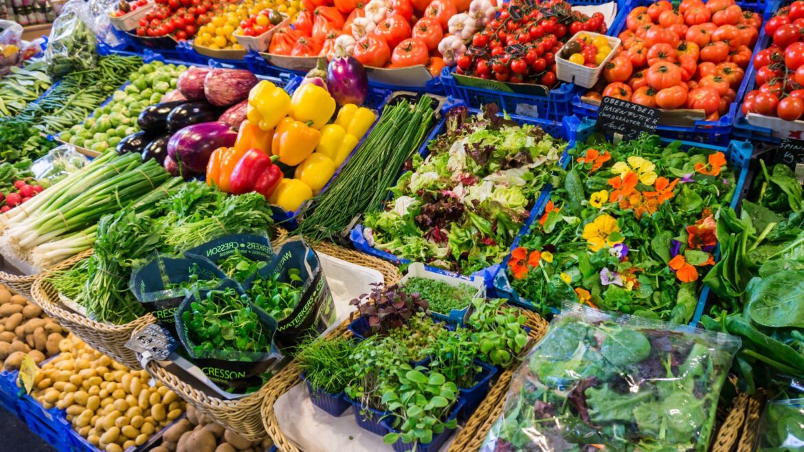 Slow food. A Bitonto inaugura il Mercato della Terra